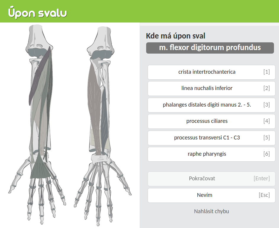 Obecná anatomie - Anatom.cz - procvičování anatomie člověka v obrázcích